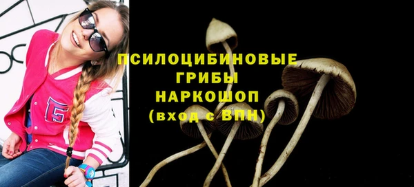 метадон Арсеньев