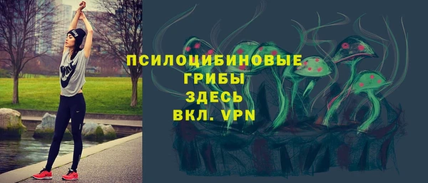 метадон Арсеньев