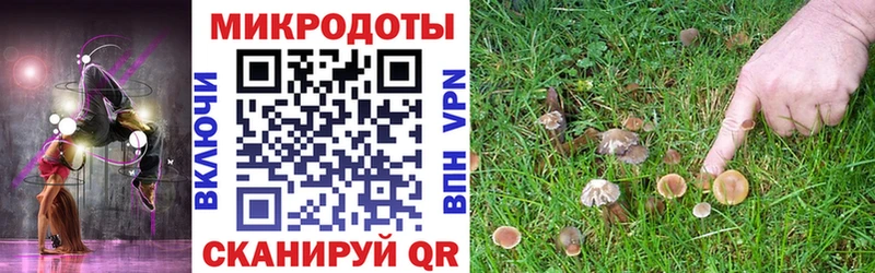 Галлюциногенные грибы Psilocybine cubensis  Белогорск 